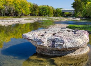 Round Rock Pest Control