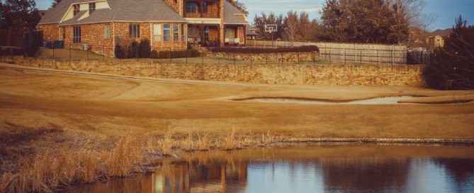 dripping springs pest control experts