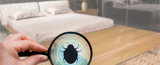 Human hand with a magnifying glass