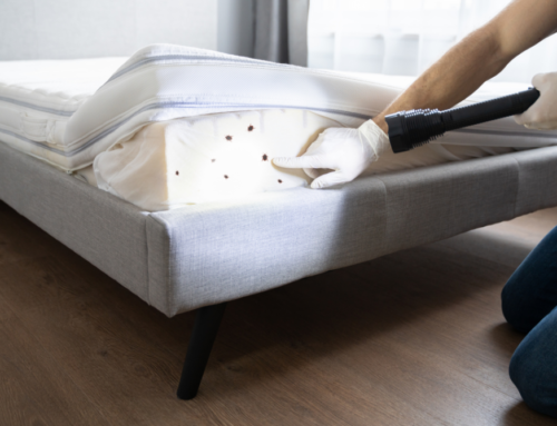 How to Check for Bed Bugs When You Travel