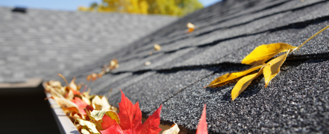 roof top with leaves