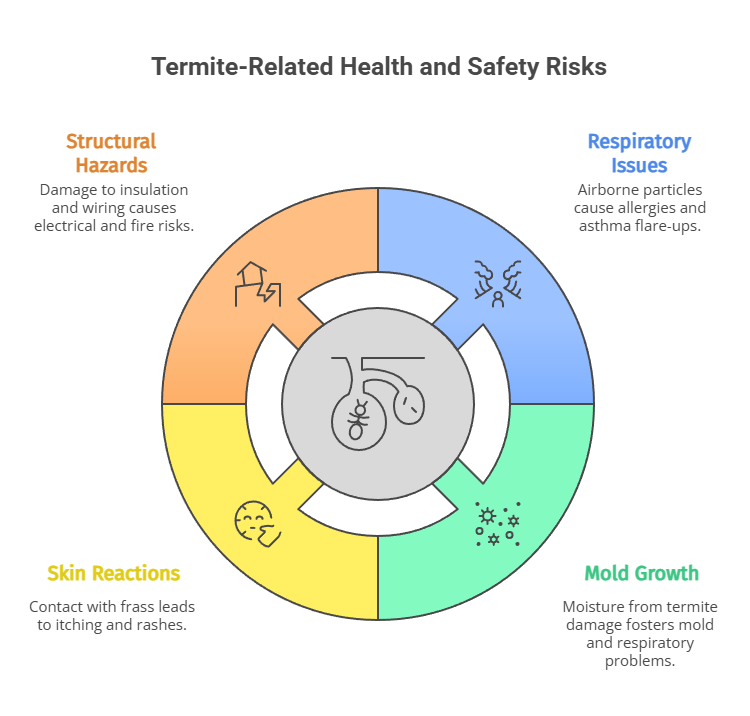 termite chart