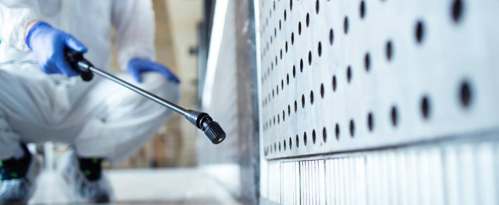 pest control for mice