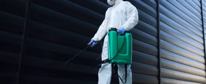 round rock pest control