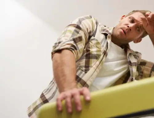 Top Mistakes Homeowners Make Before Hiring Rodent Sealing Services