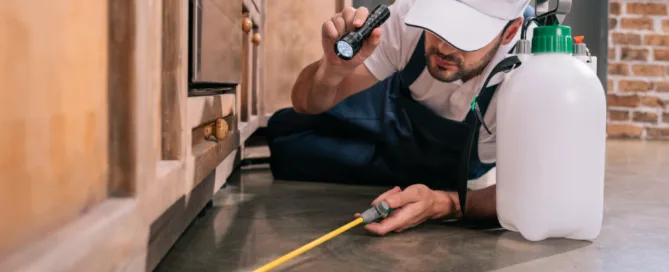 Commercial Termite Control in Austin