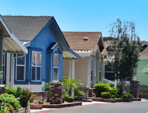 Termite Control Areas Near Austin: Local Conditions and Where We Serve