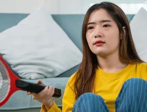 Mosquito Traps & Electric Zappers: What Really Works in Austin?