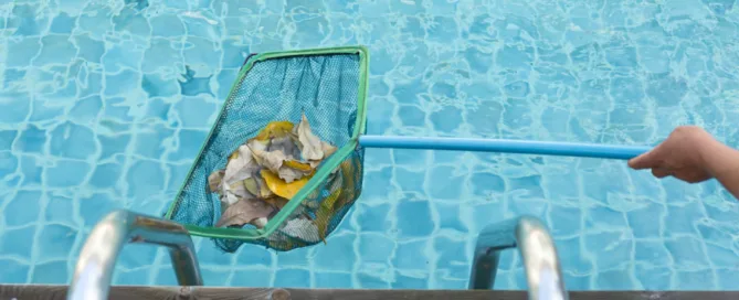 pool cleaning