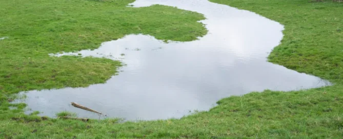 standing water